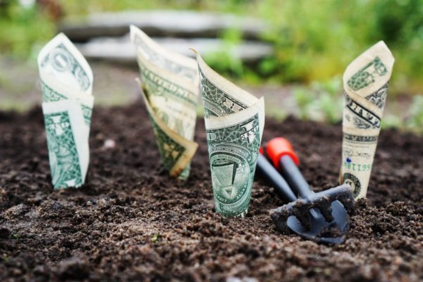 Assicurare l'azienda: costo o investimento?